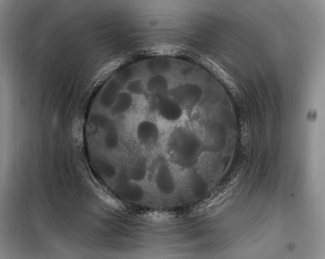 X0000100200537200805301312