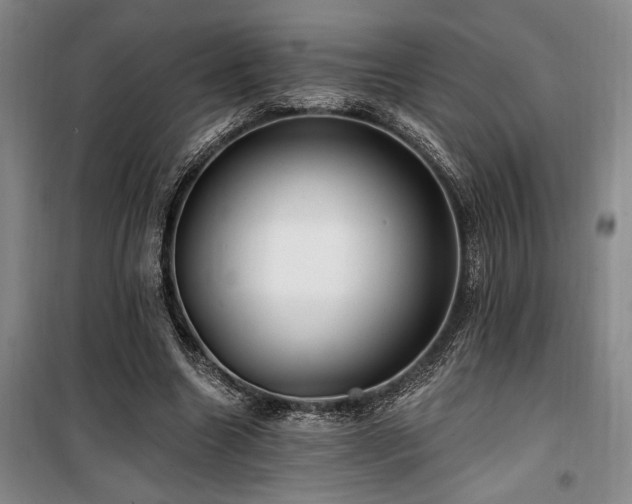 X0000100200538200805301312