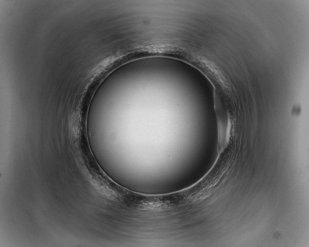 X0000100200540200805301312