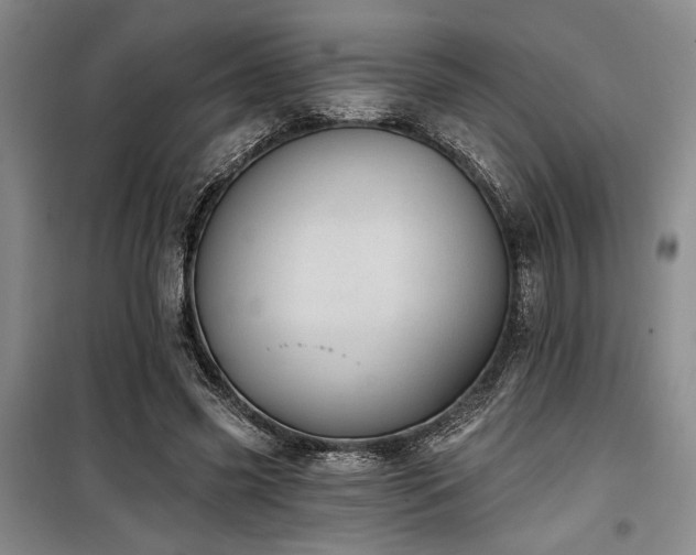 X0000100200541200805301312