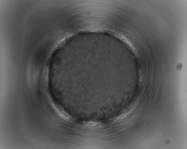 X0000100200542200805301312