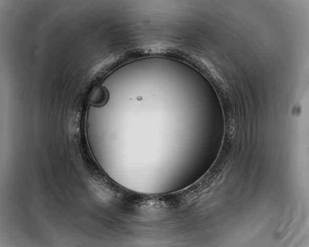 X0000100200543200805301312