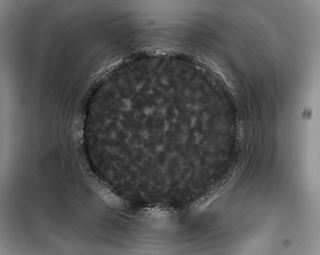 X0000100200545200805301312