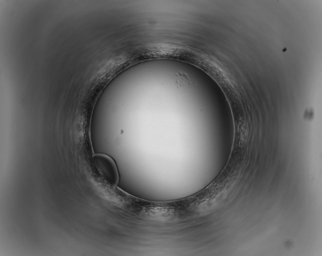 X0000100200546200805301312