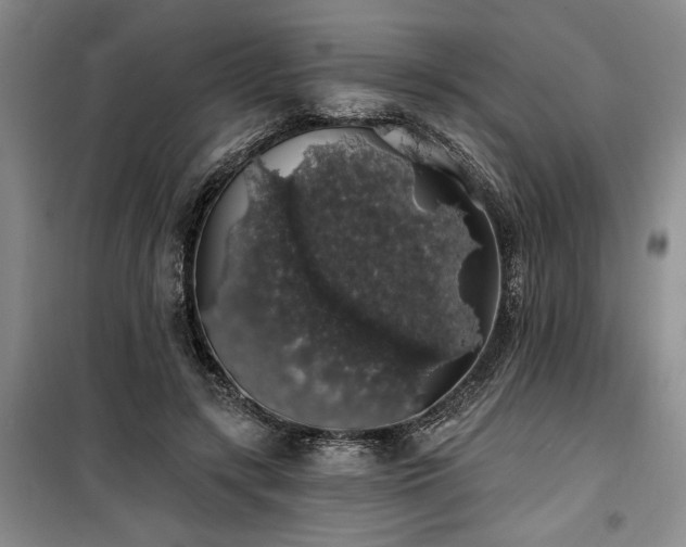 X0000100200547200805301312