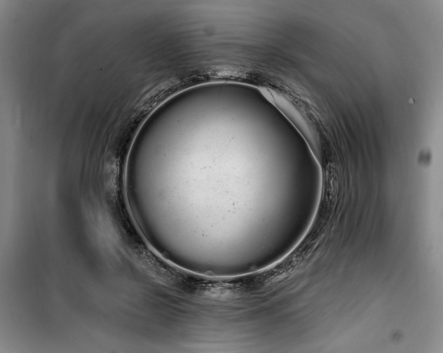 X0000100200550200805301312