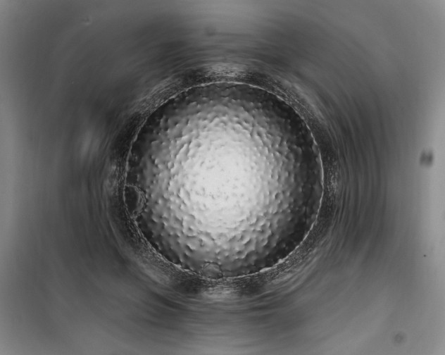 X0000100200551200805301312