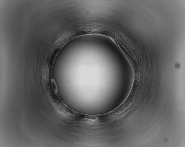 X0000100200552200805301312