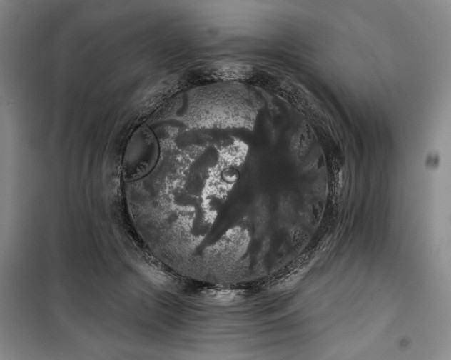 X0000100200553200805301312