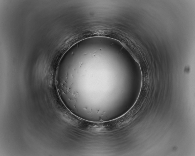 X0000100200554200805301312