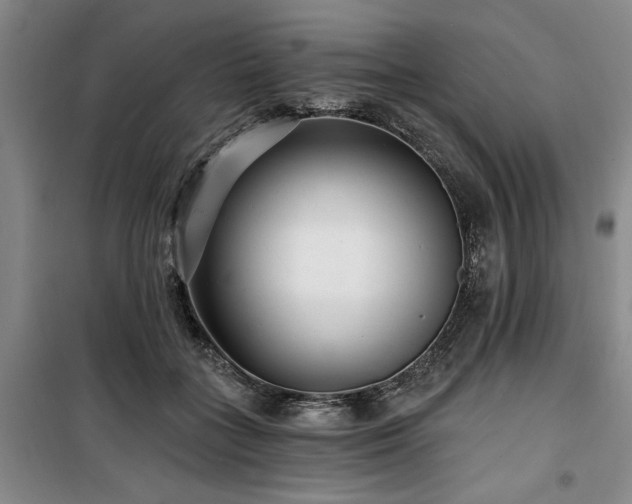 X0000100200555200805301312