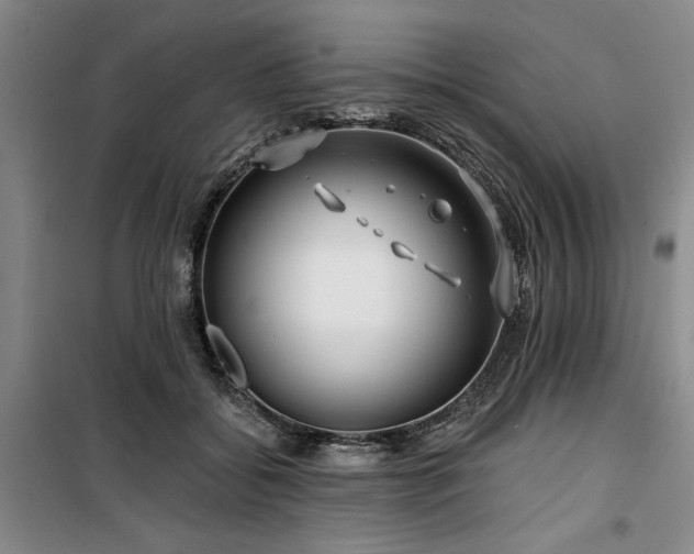 X0000100200556200805301312