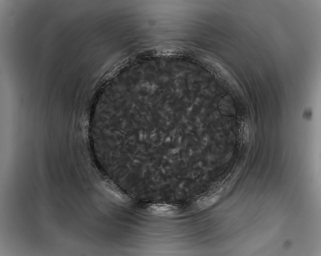 X0000100200557200805301312