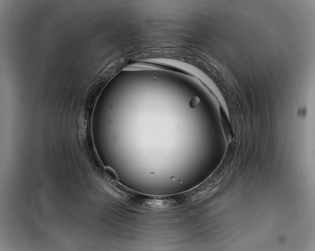 X0000100200558200805301312