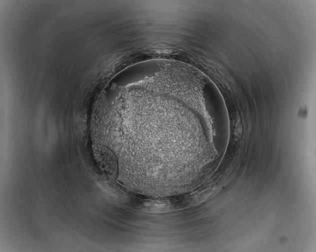 X0000100200559200805301312