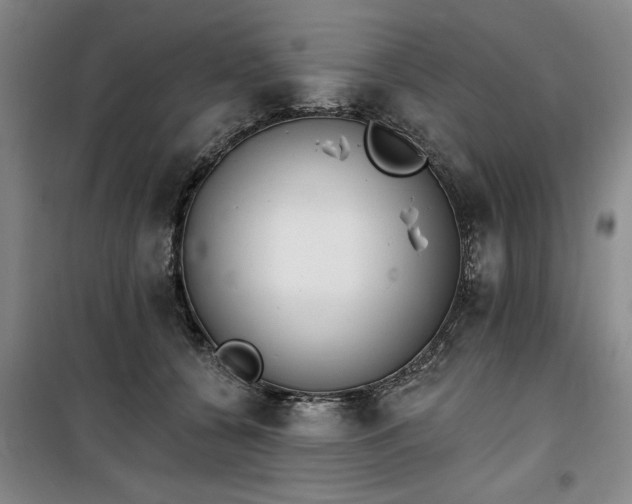 X0000100200560200805301312