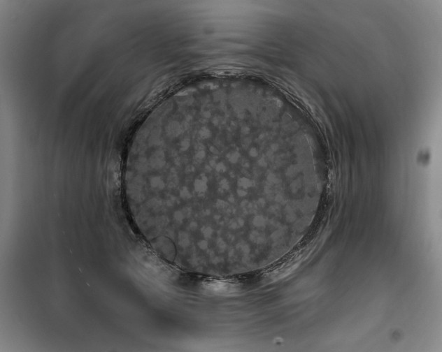 X0000100200561200805301312