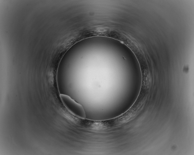 X0000100200562200805301312