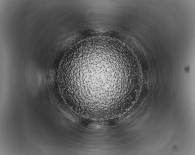 X0000100200563200805301312