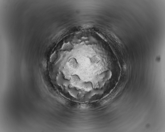 X0000100200565200805301313