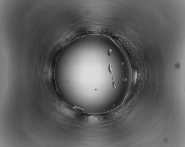 X0000100200566200805301313