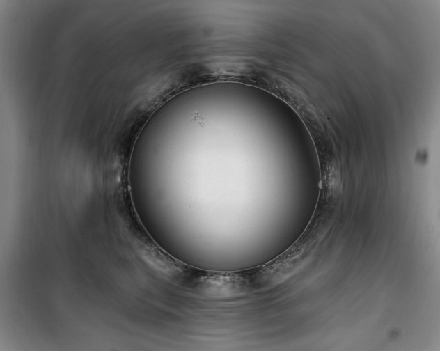 X0000100200567200805301313