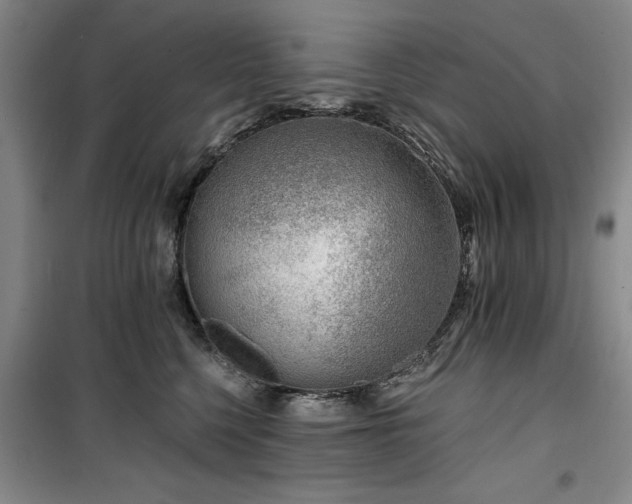 X0000100200568200805301313