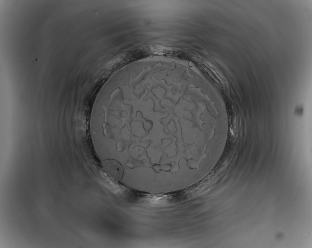 X0000100200569200805301313