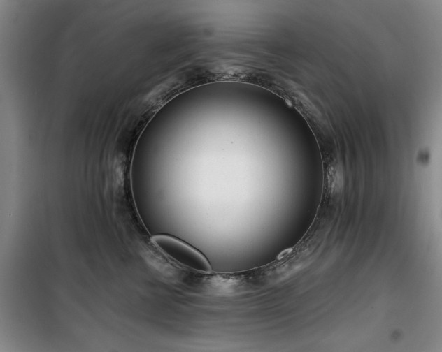 X0000100200570200805301313