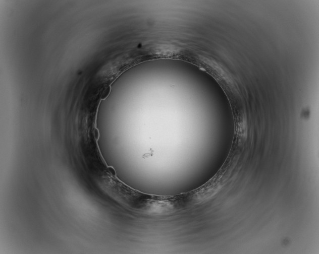 X0000100200572200805301313