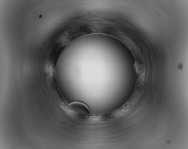 X0000100200574200805301313