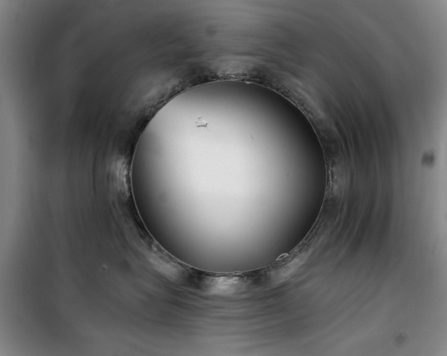 X0000100200575200805301313