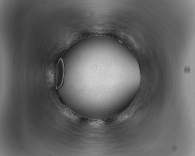 X0000100200576200805301313