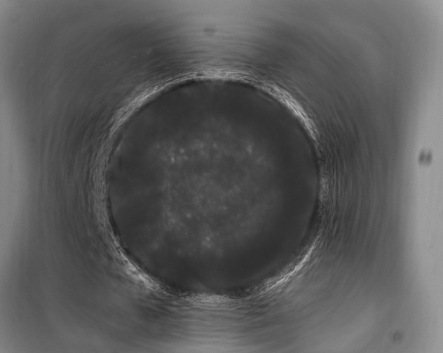 X0000100200577200805301312