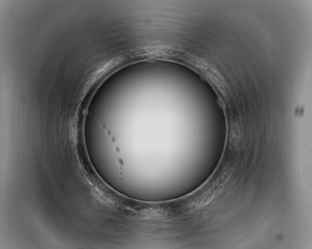 X0000100200578200805301312