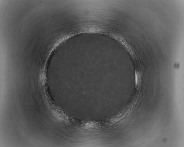 X0000100200579200805301312