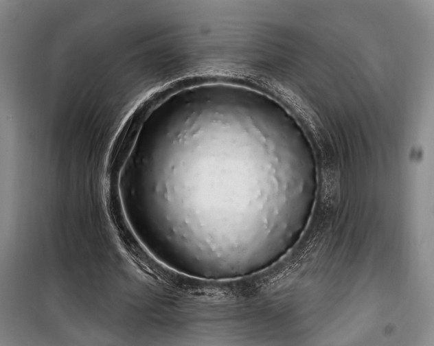 X0000100200580200805301312