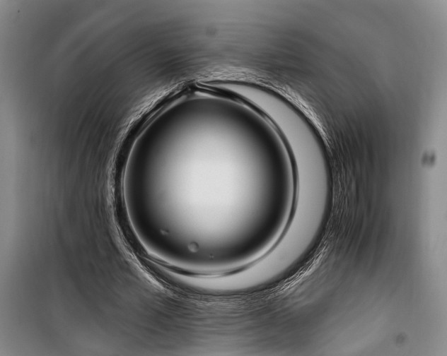 X0000100200581200805301312