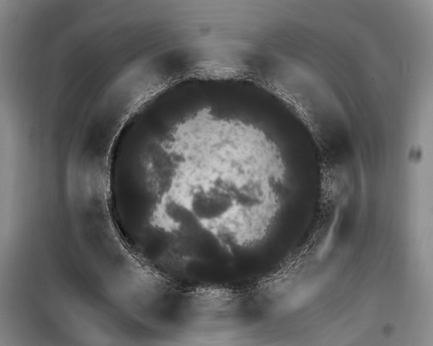 X0000100200582200805301312