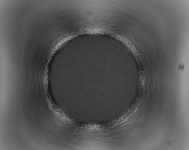 X0000100200583200805301312