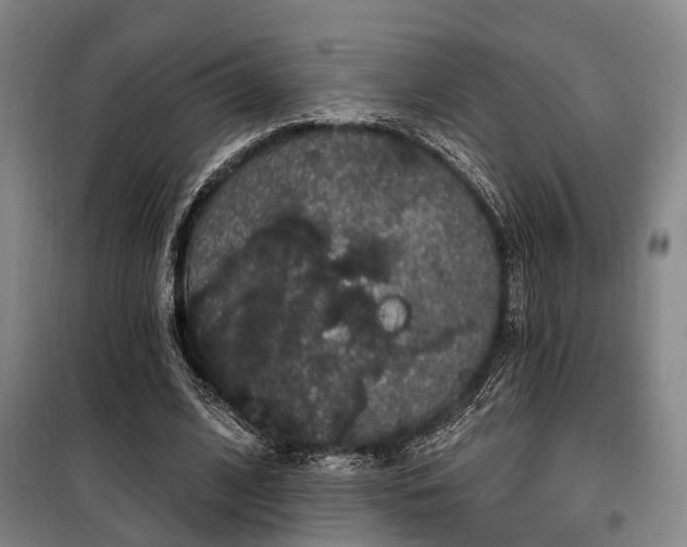 X0000100200584200805301312