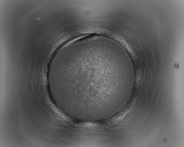 X0000100200585200805301312