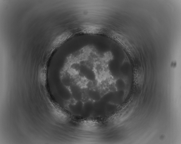 X0000100200586200805301312