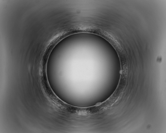 X0000100200587200805301312