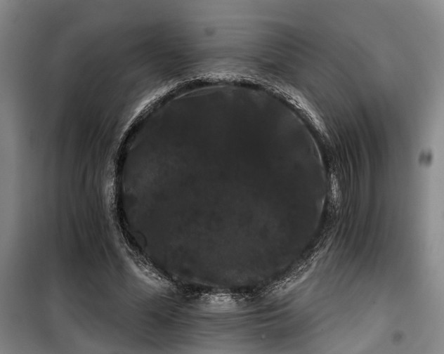 X0000100200588200805301312