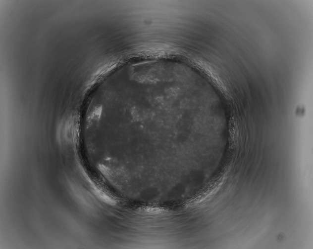 X0000100200590200805301312