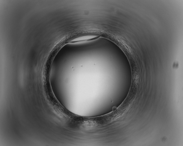 X0000100200591200805301312