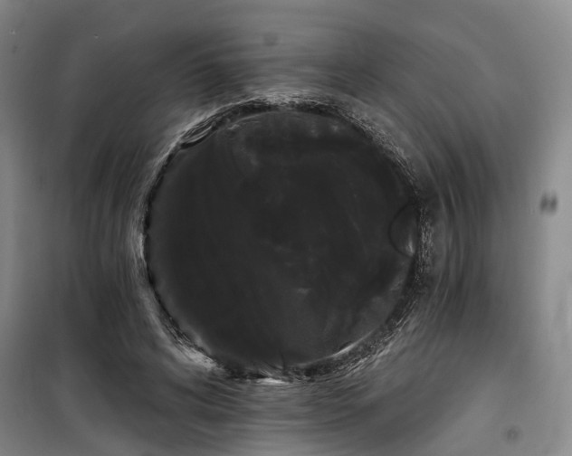 X0000100200592200805301312