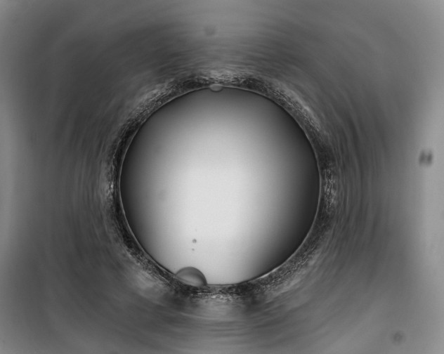 X0000100200593200805301312