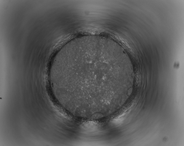 X0000100200594200805301312